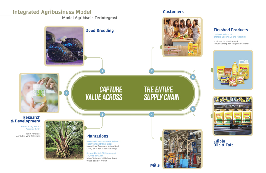 Integrated Agribusiness Model